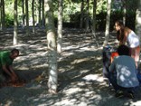 Alberto, Miguel and angela doing tension, frequency and material tests outside  - thumbnail